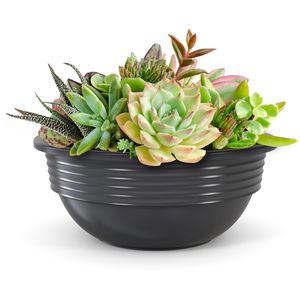 Produktbild für Pflanztopf Plastard Milano, 12 Liter