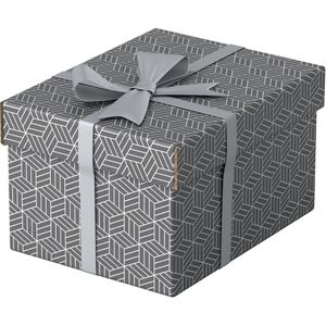 Produktbild für Aufbewahrungsbox Esselte Home S 628281, 7L