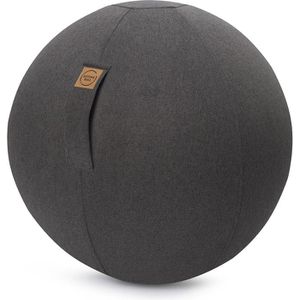 Produktbild für Sitzball Sitting-Ball FELT, belastbar bis 100 kg