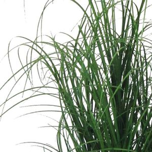 Produktbild für Kunstpflanze Creativ-green Grasbusch