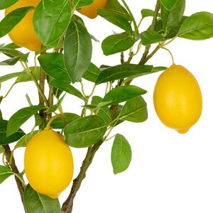 Produktbild für Kunstpflanze Creativ-green Zitronenbaum