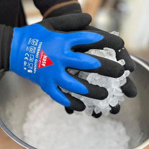 Produktbild für Arbeitshandschuhe Hase Thermo Guard+, 508635