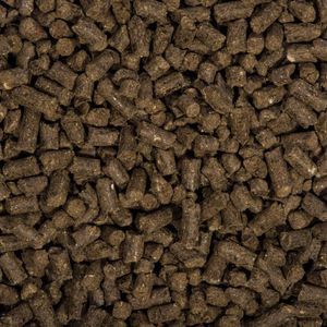 Produktbild für Dünger Compo Bio Beeren Langzeitdünger