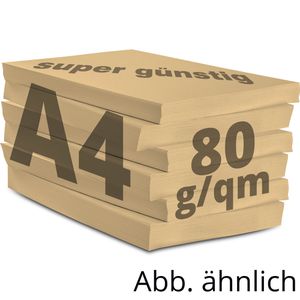 Produktbild für Kopierpapier Papyrus Rainbow 88042497