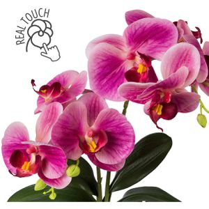 Produktbild für Kunstblume Creativ-green Orchidee, Phalaenopsis