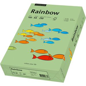 Produktbild für Kopierpapier Papyrus Rainbow 88042637