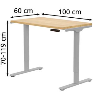 Produktbild für Schreibtisch FlexiSpot E1S Pro, ahorn / grau