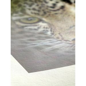 Produktbild für Inkjet-Papier Hahnemühle Bamboo FineArt, A3