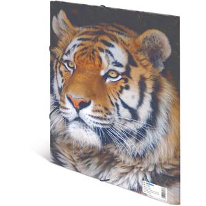 Produktbild für Zeichenmappe Herma 7137, Leoparden, A4