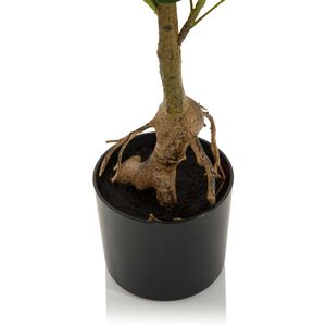 Produktbild für Kunstpflanze hJh-OFFICE Schefflera
