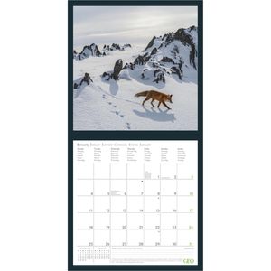 Produktbild für Bildkalender GEO 159601, Amazing Nature, Jahr 2027