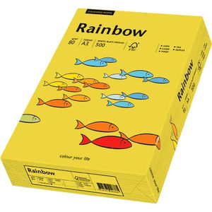 Produktbild für Kopierpapier Papyrus Rainbow 88042390