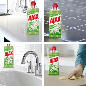 Produktbild für Allzweckreiniger Ajax Frühlingsblumen