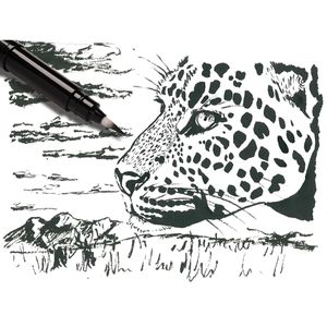 Produktbild für Brush-Pen Pentel GFKPF-AX, Pocket Brush