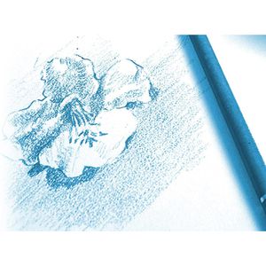 Produktbild für Zeichenblock Clairefontaine 96624C, A4