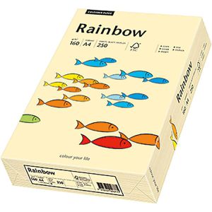Produktbild für Kopierpapier Papyrus Rainbow 88042283