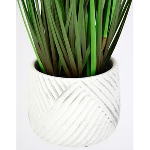 Produktbild für Kunstpflanze I.GE.A. Fuchsschwanzgras