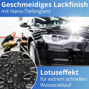 Produktbild für Lackversiegelung Nanoprotect Pearl &amp; Shine