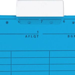 Produktbild für Hängetaschen Falken 80002561, UniReg, A4