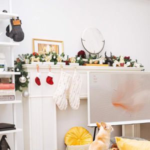 Produktbild für Weihnachtsgirlande SALCAR 900330, für innen und außen