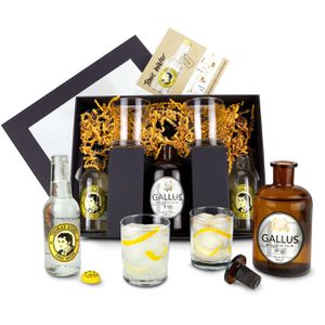 Produktbild für Geschenkset Böttcher-AG Gin Tonic Gallus 43