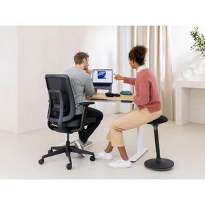 Produktbild für Bürostuhl Ergotopia PureBack, RGOPB-S