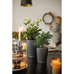 Produktbild für Übertopf Lechuza MINI-DELTINI, anthrazit metallic, 10x13x10 cm