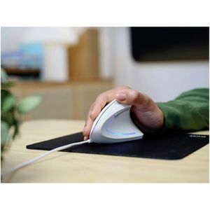 Produktbild für Maus Trust Verto Ergo White Wired 25133