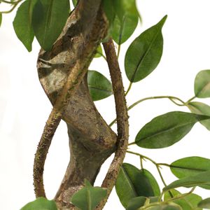 Produktbild für Kunstpflanze hJh-OFFICE Ficus