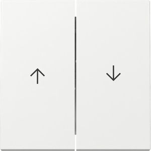 Schalter-Wippe Gira System 55