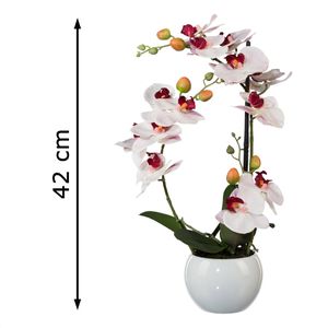 Produktbild für Kunstblume Creativ-green Orchidee, Phalaenopsis