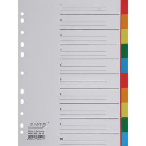 10xUniversalregister blanko 10teilig Einsteckschilder grau Kunststoffregister A4