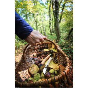 Produktbild für Klappmesser Opinel No.7 Inox Gourmet, braun