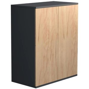 Produktbild für Aktenschrank VCM Dalosa 2-Fach 918321, aus Holz
