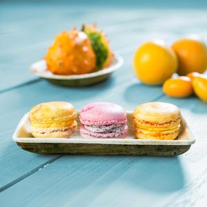 Produktbild für Fingerfoodschalen Biozoyg DTW05474, Palmblatt