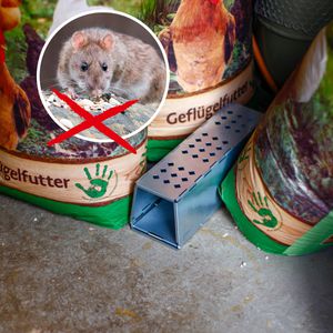 Produktbild für Rattenfalle Gardigo 62362