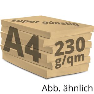 Produktbild für Kopierpapier Papyrus Rainbow 88376515