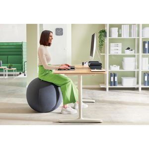 Produktbild für Sitzball Leitz Ergo Active, Anti-Wegroll-Funktion, bis 150 kg