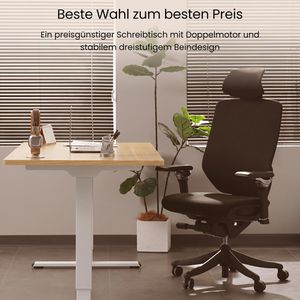 Produktbild für Schreibtisch FlexiSpot E5W, ahorn / weiß