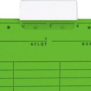 Produktbild für Hängetaschen Falken 80004435, UniReg, A4