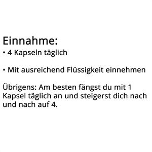 Produktbild für Aminosäuren natural-elements L-Carnitin, 120 Kapseln