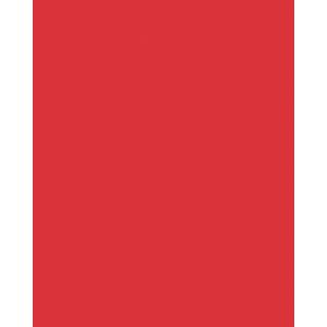 Produktbild für Tonpapier Folia 6118/25 19, 50 x 70cm