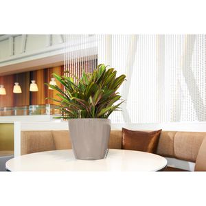 Produktbild für Übertopf Lechuza CLASSICO LS 21, taupe hochglanz, Ø 22 x 20 cm