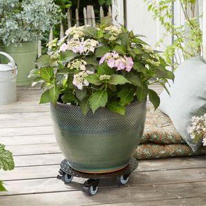 Produktbild für Pflanzenroller Wagner-System GH 7007, bis 150 kg, Ø 30 cm