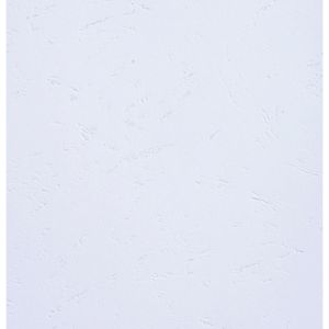 Produktbild für Deckblätter Exacompta Forever 2784c, A4