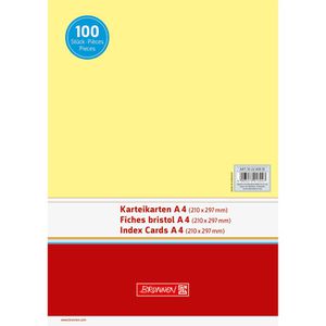 Produktbild für Karteikarten Brunnen 102240010, A4