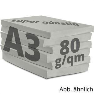 Produktbild für Kopierpapier Papyrus Rainbow 88042808