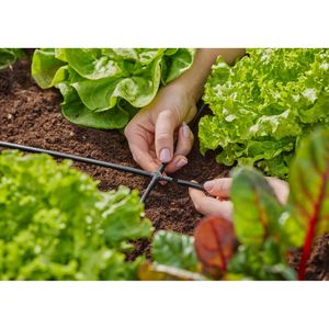 Produktbild für Micro-Drip-System Gardena Rohrverbinder Kreuzstück, 13214-20