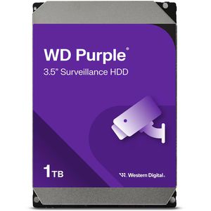 Produktbild für Festplatte WesternDigital WD Purple WD11PURZ