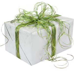 Produktbild für Geschenkband Präsent Raffia Pearl Multicolour grün